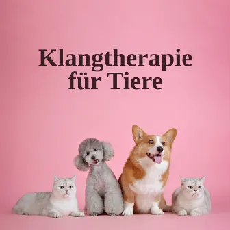 Klangtherapie für Tiere (Entspannungszeit für Hunde und Katzen) by Entspannungmusik Academy