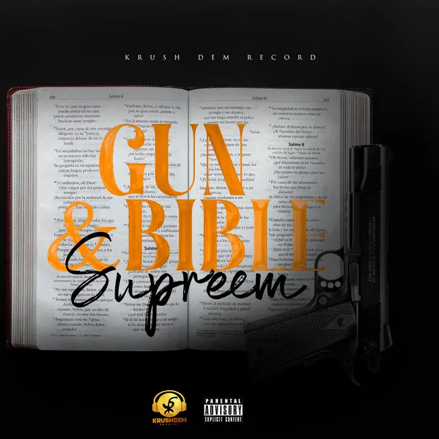 Gun & Bible