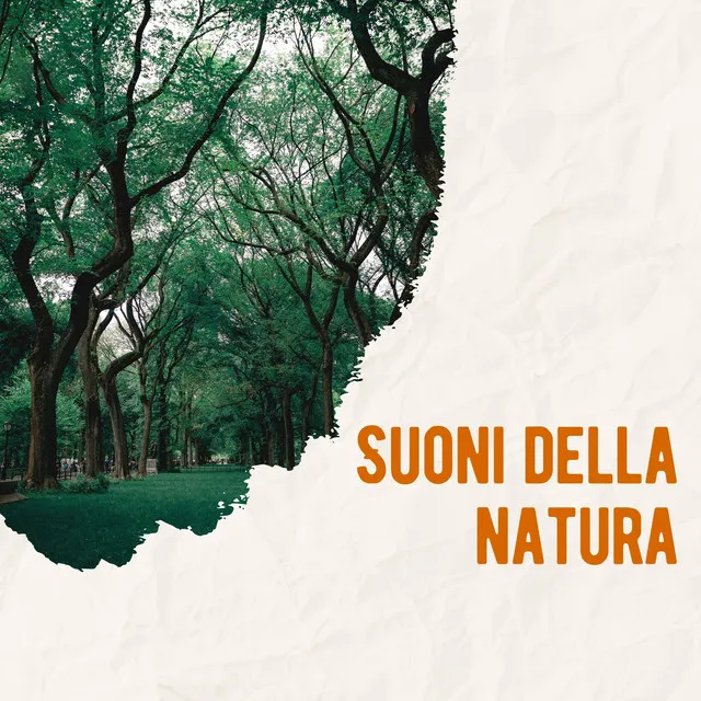 Suoni della natura: melodie rilassanti e meditative per il benessere