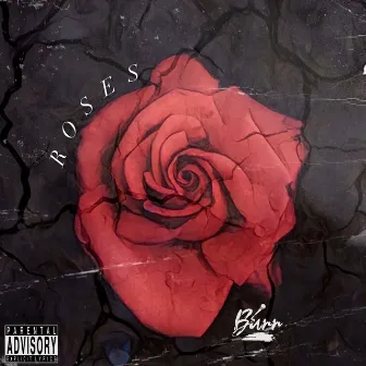 Roses by Burr