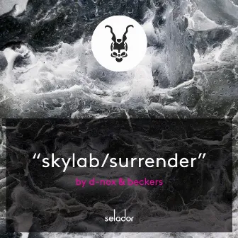 Skylab / Surrender by Beckers