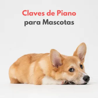 Claves De Piano Para Mascotas by Tortuga de piano soñolienta