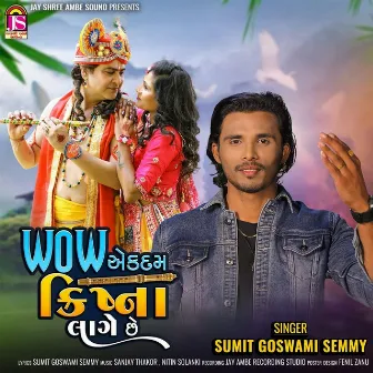 Wow Ekdam Krishana Lage Che by Sumit Goswami Semmy