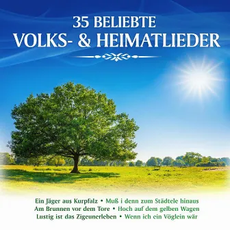 35 beliebte Volks- & Heimatlieder by Holger Stern