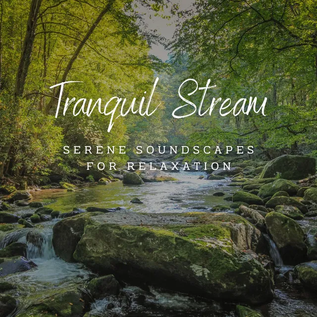 Tranquil Stream: Serene Soundscapes for Relaxation (ASMR)