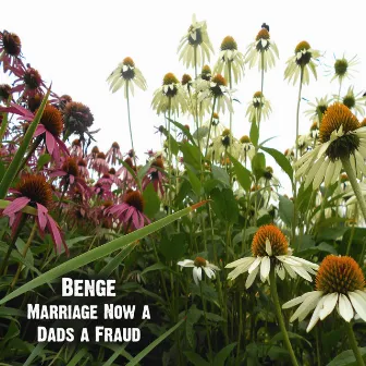 Marriage Now a Dads a Fraud by Benge