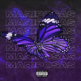 Mariposas by Francisco Salazar