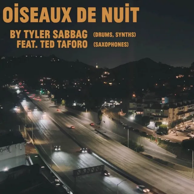 Oiseaux de Nuit