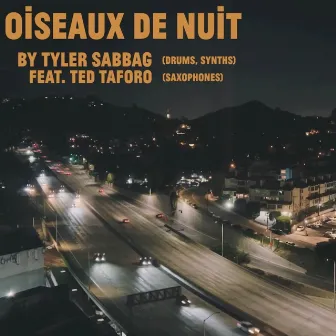 Oiseaux de Nuit by Tyler Sabbag