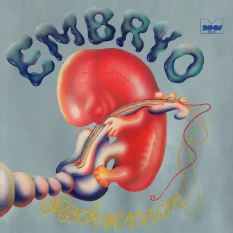 Rocksession by Embryo