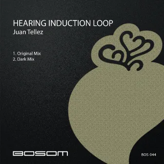 Hearing Induction Loop by Juan Tellez