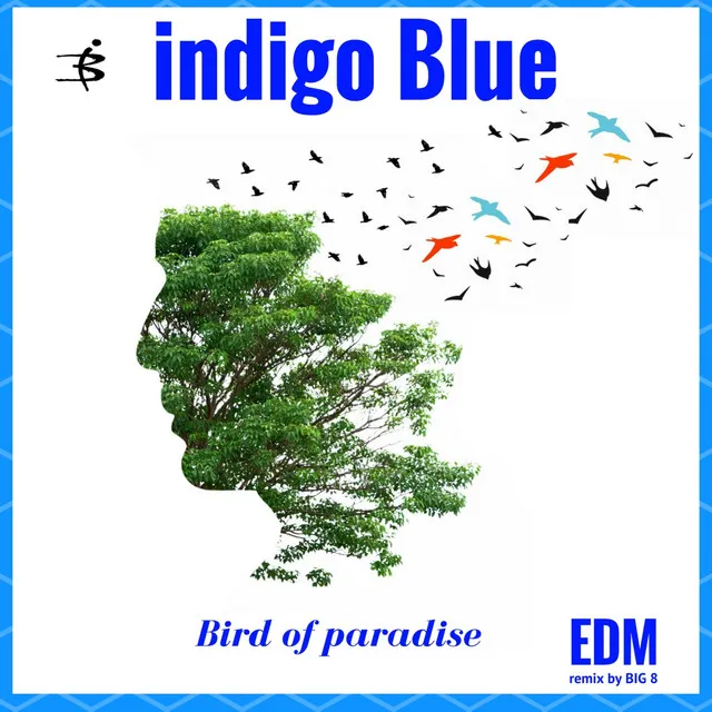 Bird of Paradise (Dance Rimix)