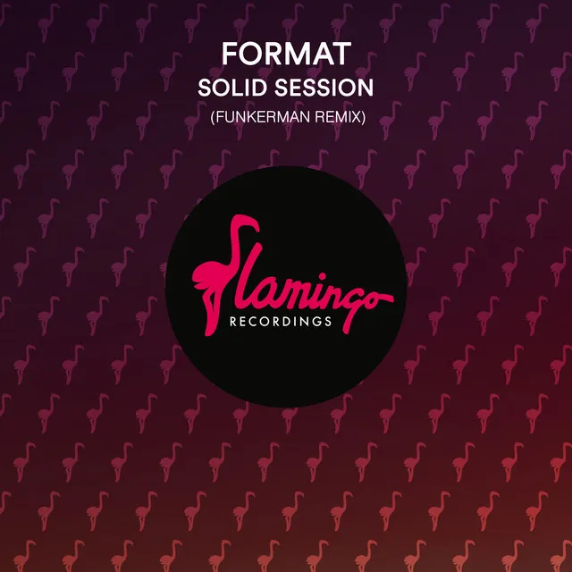 Solid Session (Funkerman Remix) - Radio Edit