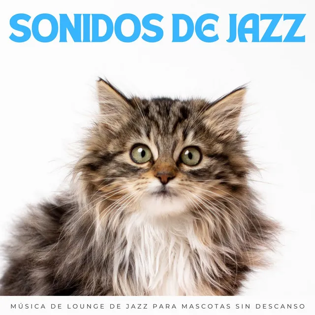 Sonidos De Jazz: Música De Lounge De Jazz Para Mascotas Sin Descanso