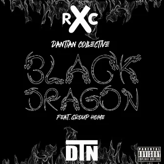 Black Dragon by Dantian Collective