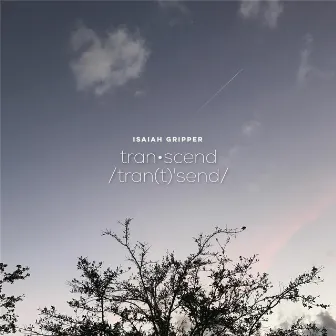 Transcend by Isaiah Gripper