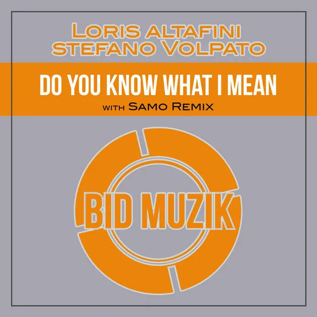 Do You Know What I Mean - Samo Remix