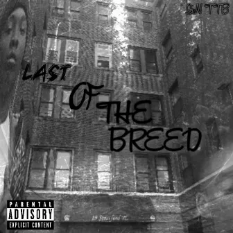 Last of the Breed by Sin TTB