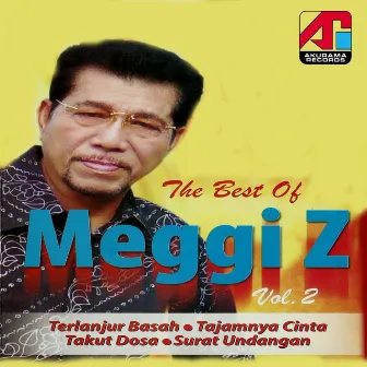 Best Of Meggi Z, Vol. 2 by Meggi Z