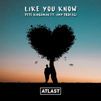 Like You Know by Pete Kingsman