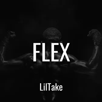 FLEX by LilTake