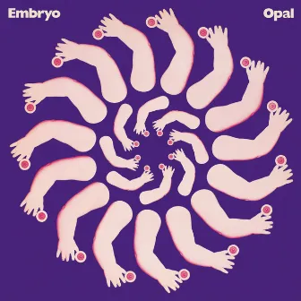 Opal by Embryo