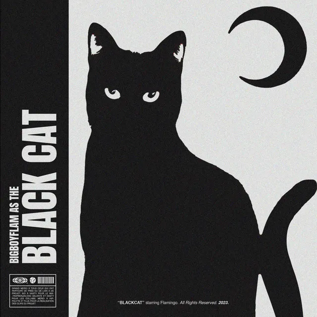 BLACK CAT