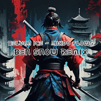 Aikido Flows (Ben Snow Remix) by Ben Snow