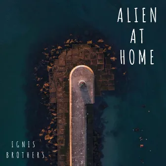 Alien at Home by Ignis Brothers