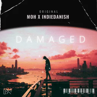 Damaged (Raw-Version) by Indiedanish