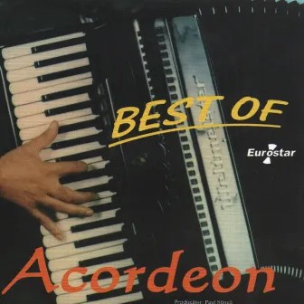 Best of Acordeon by Ionica Minune