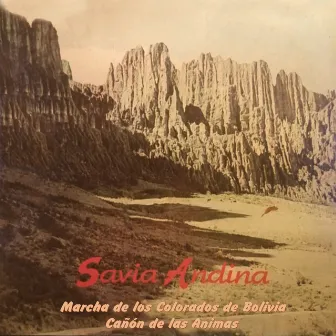 Marcha de Los Colorados de Bolivia, Cañón de Las Animas by Savia Andina