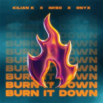 Burn It Down by IM!SC