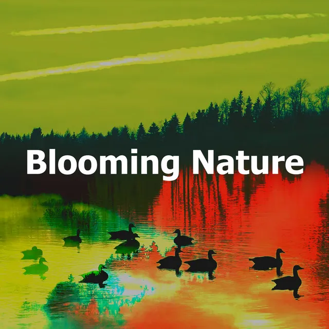 Blooming Nature