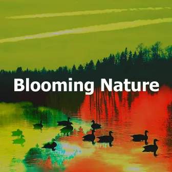 Blooming Nature by Lively Nature Sounds