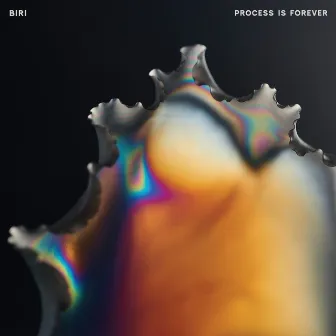 Process Is Forever by Biri