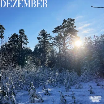 Dezember by West Forester