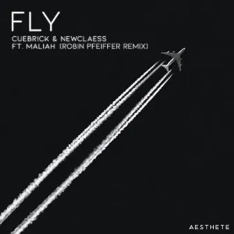 Fly (Robin Pfeiffer Remix) by Robin Pfeiffer