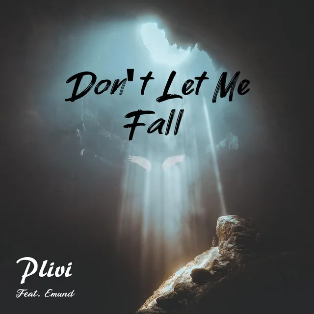 Don't Let Me Fall