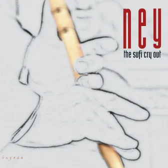 Ney The Sufi Cry Out by Eyüp Hamiş