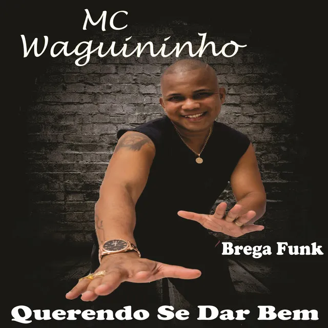 Querendo Se Dar Bem (Brega Funk)