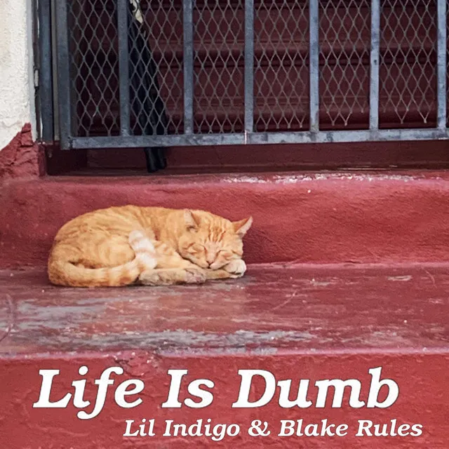 Life Is Dumb