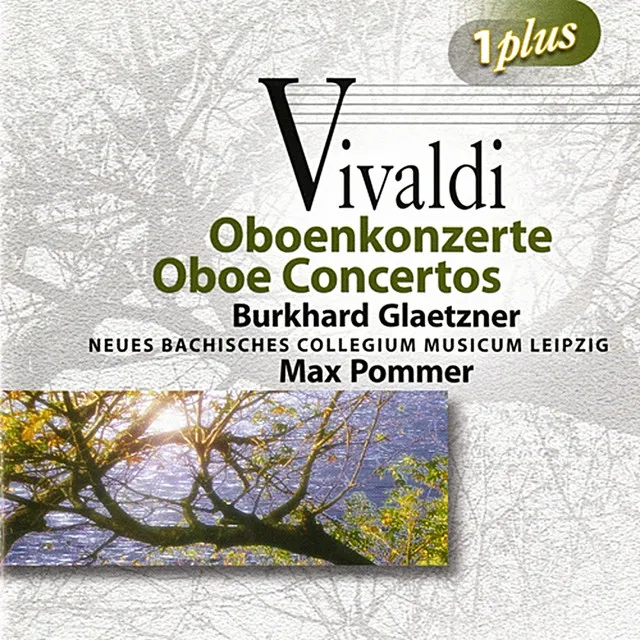 Oboe Concerto in D Minor, Op. 8, No. 9, RV 454: II. Largo