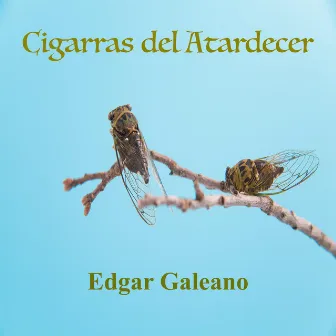 Cigarras del Atardecer by Edgar Galeano