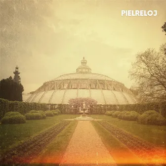 Het paleis (Den Haag) by Piel Reloj