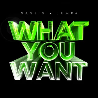 What You Want by Sanjin