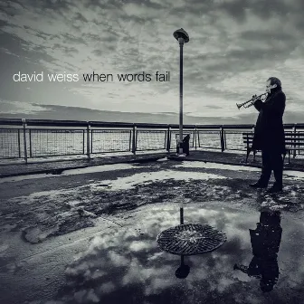 When Words Fail by David Weiss