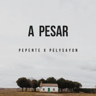 A Pesar by PelySayon