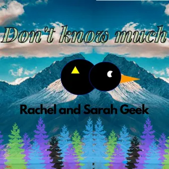 Don't know much by Rachel Geek