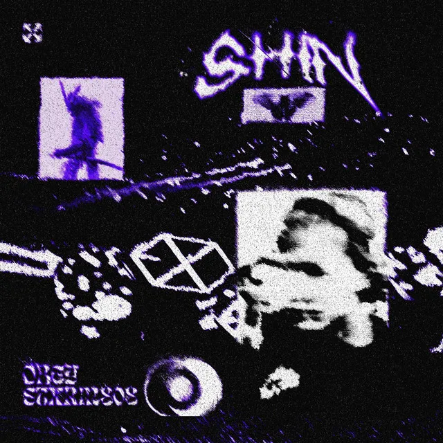 shin